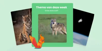 Nieuwsthema Grote boze wolf?