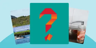 Afbeelding vraag zeegroen