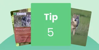 Website afbeelding tip 5
