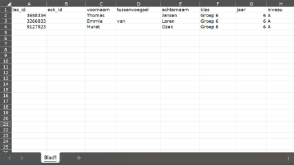 Voorbeeld_leerlingenExcel5